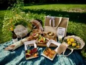 {{brizy_dc_image_alt imageSrc=